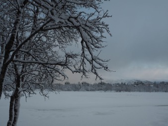 Lago Prestvannet